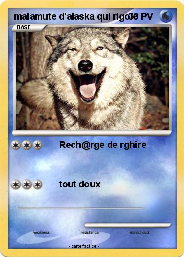 Pokemon malamute d'alaska qui rigole