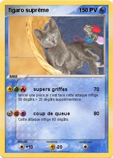 Pokemon figaro suprême