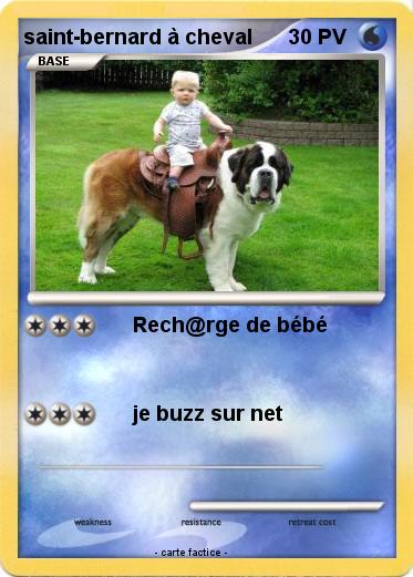 Pokemon saint-bernard à cheval
