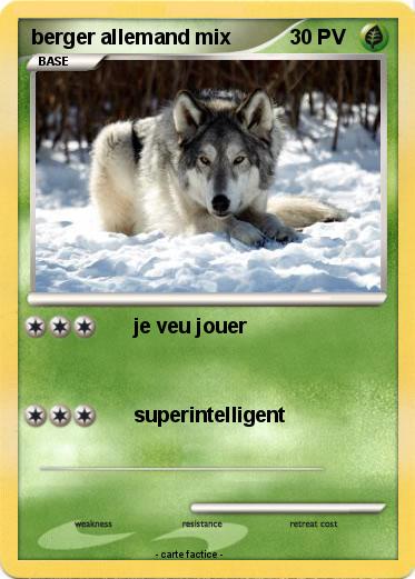 Pokemon berger allemand mix