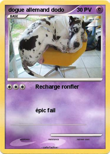 Pokemon dogue allemand dodo