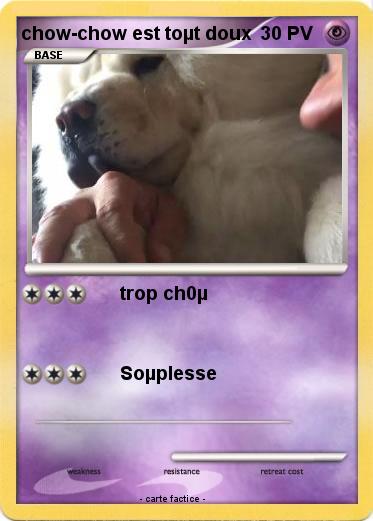 Pokemon chow-chow est toµt doux