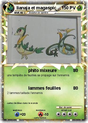 Pokemon lianaja et magaspic