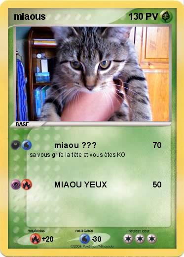 Pokemon miaous