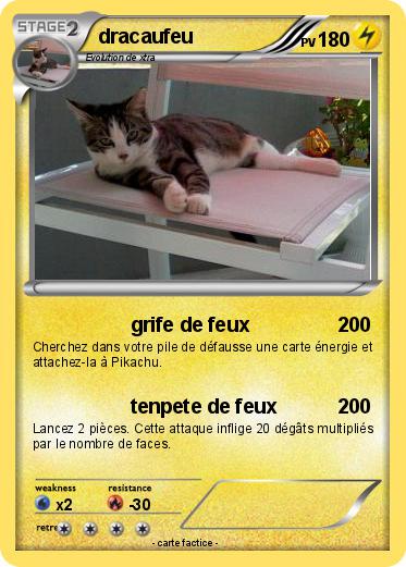 Pokemon dracaufeu