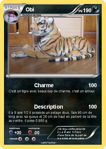 Pokemon Obi