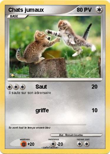 Pokemon Chats jumaux