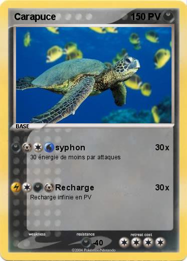 Pokemon Carapuce