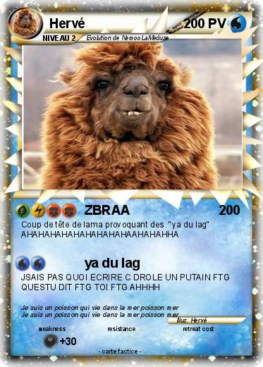 Pokemon Hervé