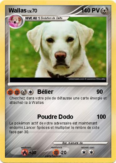 Pokemon Wallas