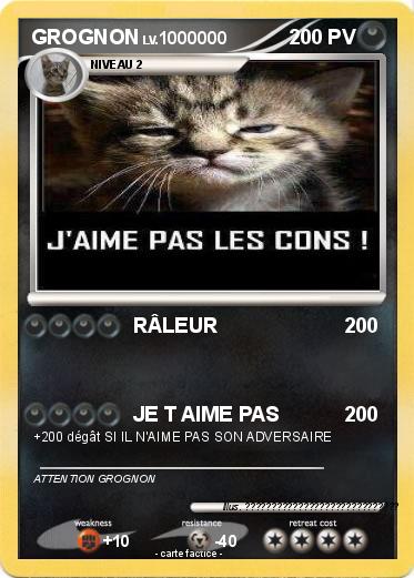 Pokemon GROGNON