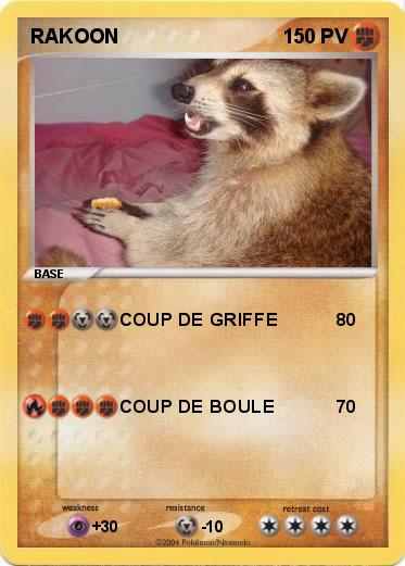 Pokemon RAKOON