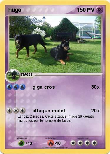 Pokemon hugo
