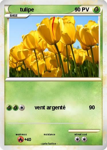 Pokemon tulipe