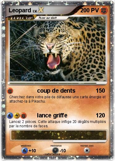 Pokemon Leopard