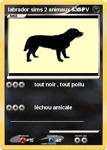 Pokemon labrador sims 2 animaux & cie