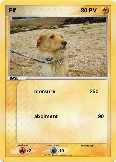 Pokemon Pif