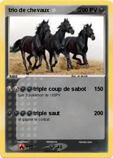 Pokemon trio de chevaux