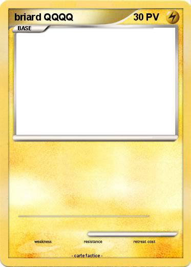 Pokemon briard QQQQ