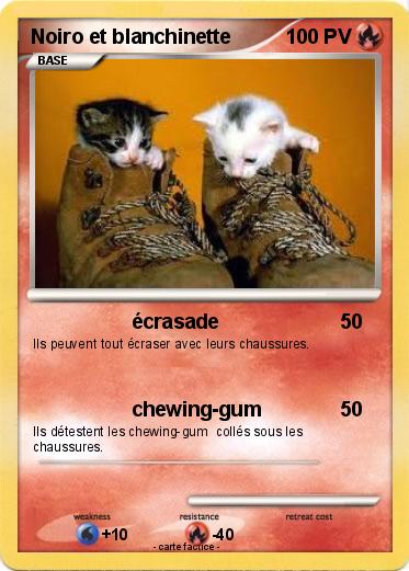 Pokemon Noiro et blanchinette