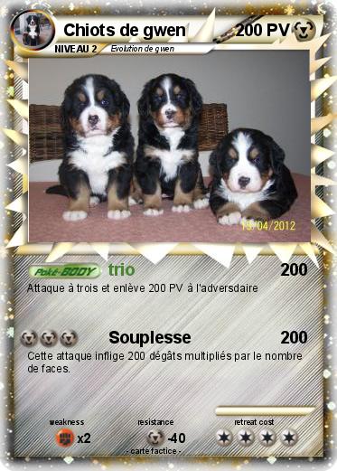 Pokemon Chiots de gwen
