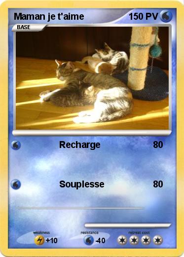 Pokemon Maman je t'aime