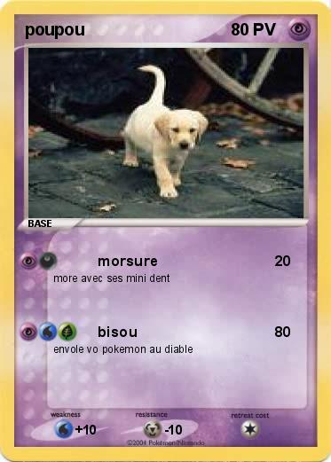 Pokemon poupou