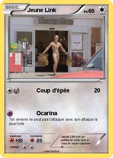 Pokemon Jeune Link