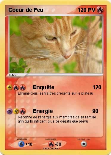 Pokemon Coeur de Feu