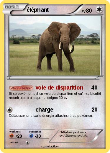 Pokemon éléphant