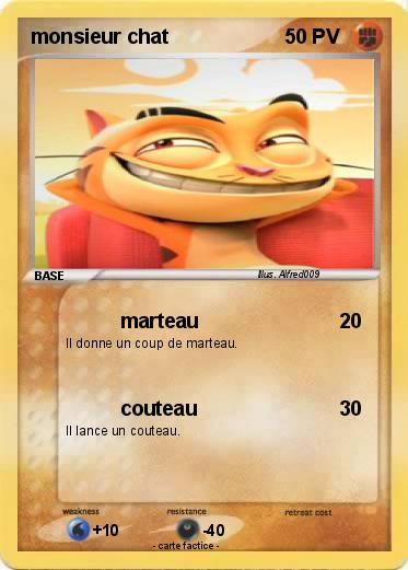 Pokemon monsieur chat