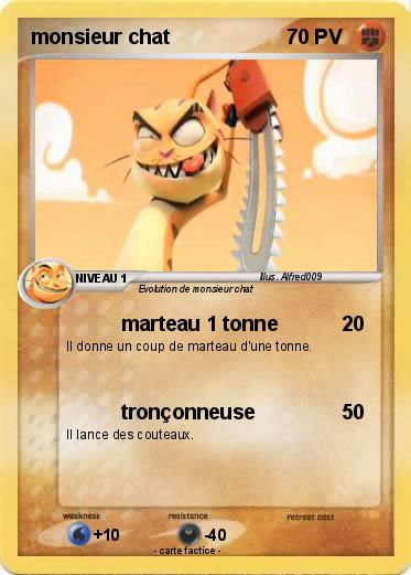 Pokemon monsieur chat