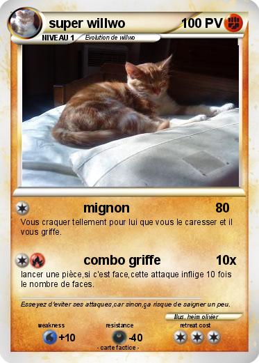 Pokemon super willwo