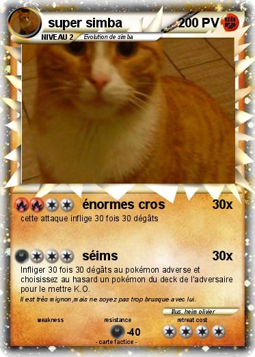 Pokemon super simba