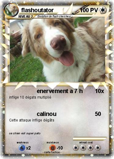 Pokemon flashoutator