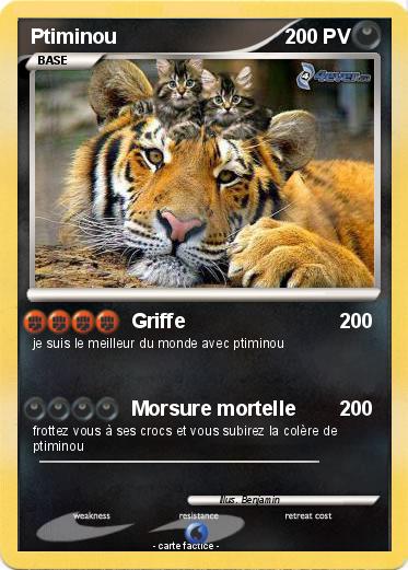 Pokemon Ptiminou