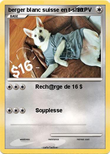 Pokemon berger blanc suisse en t-shirt