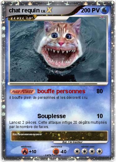 Pokemon chat requin