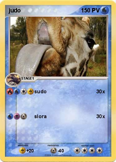 Pokemon judo