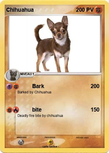 Pokemon Chihuahua
