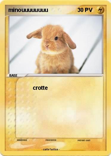 Pokemon minouuuuuuuu