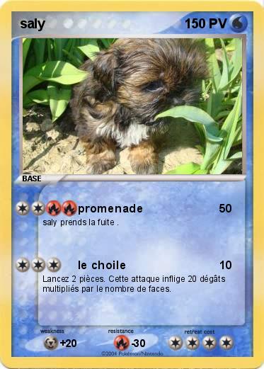 Pokemon saly