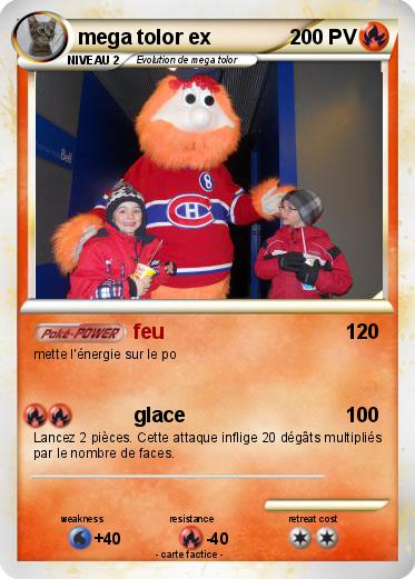 Pokemon mega tolor ex