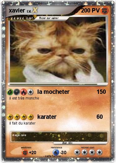 Pokemon xavier