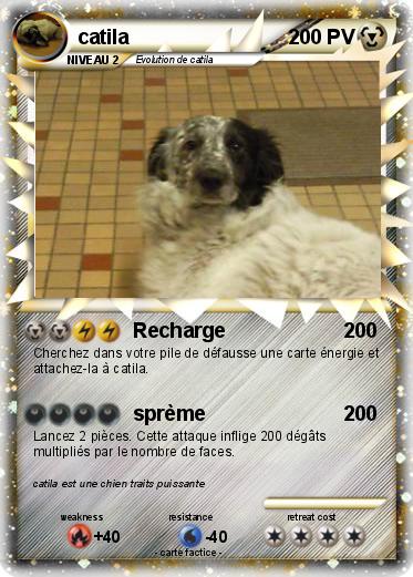 Pokemon catila