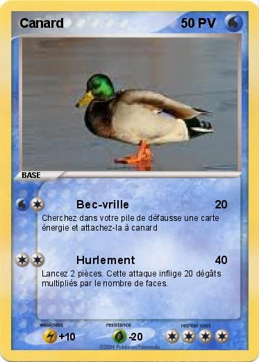 Pokemon Canard
