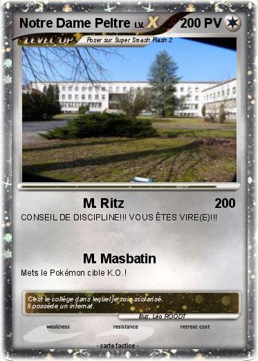 Pokemon Notre Dame Peltre