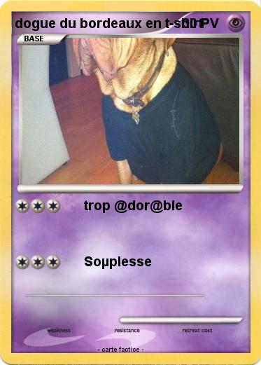 Pokemon dogue du bordeaux en t-shirt