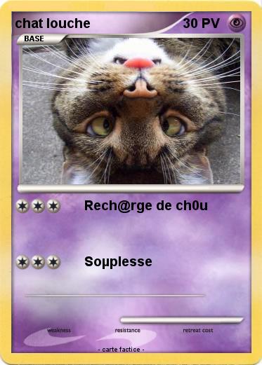 Pokemon chat louche