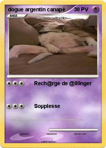 Pokemon dogue argentin canapé